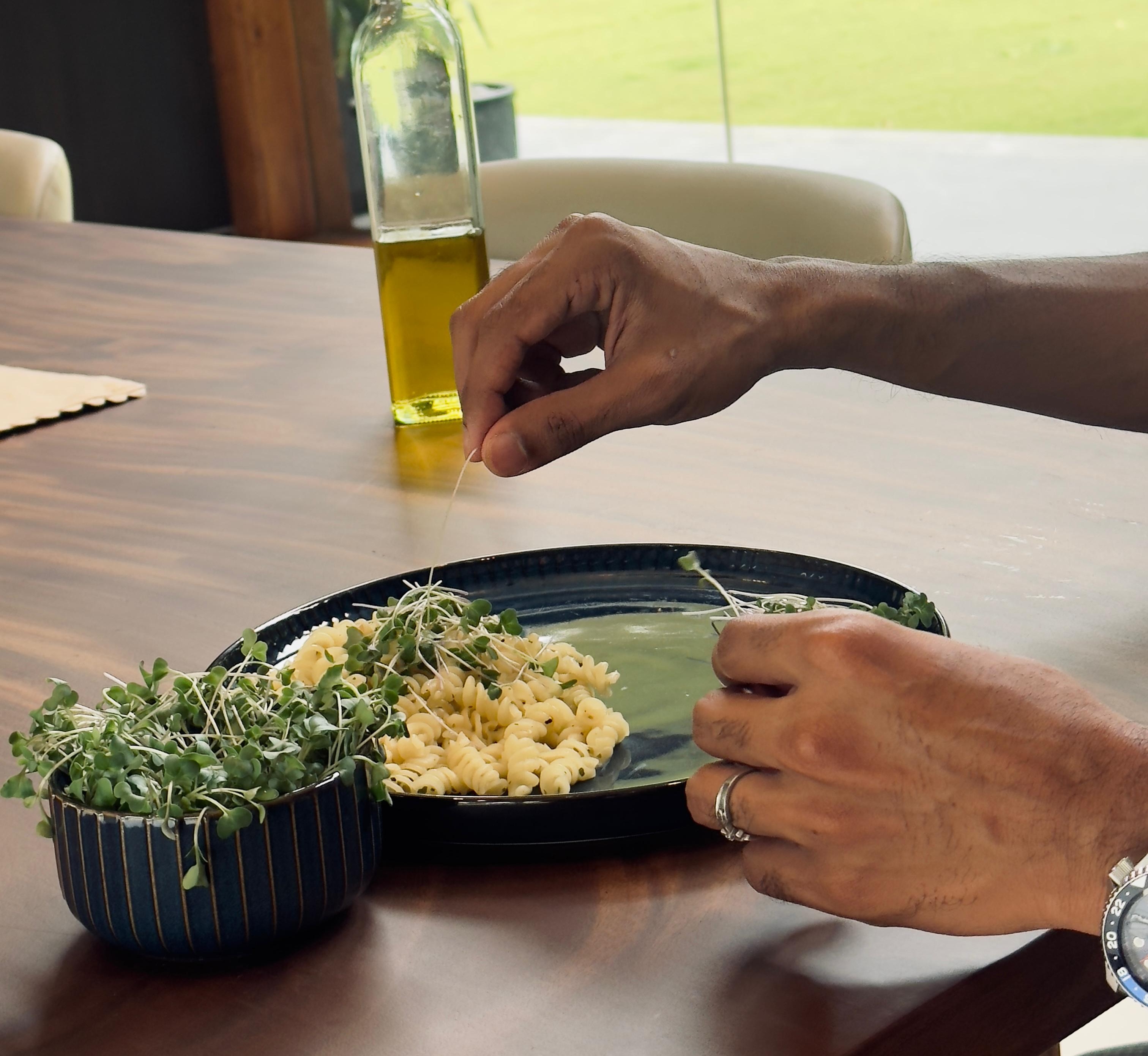 Seeds growing into microgreens