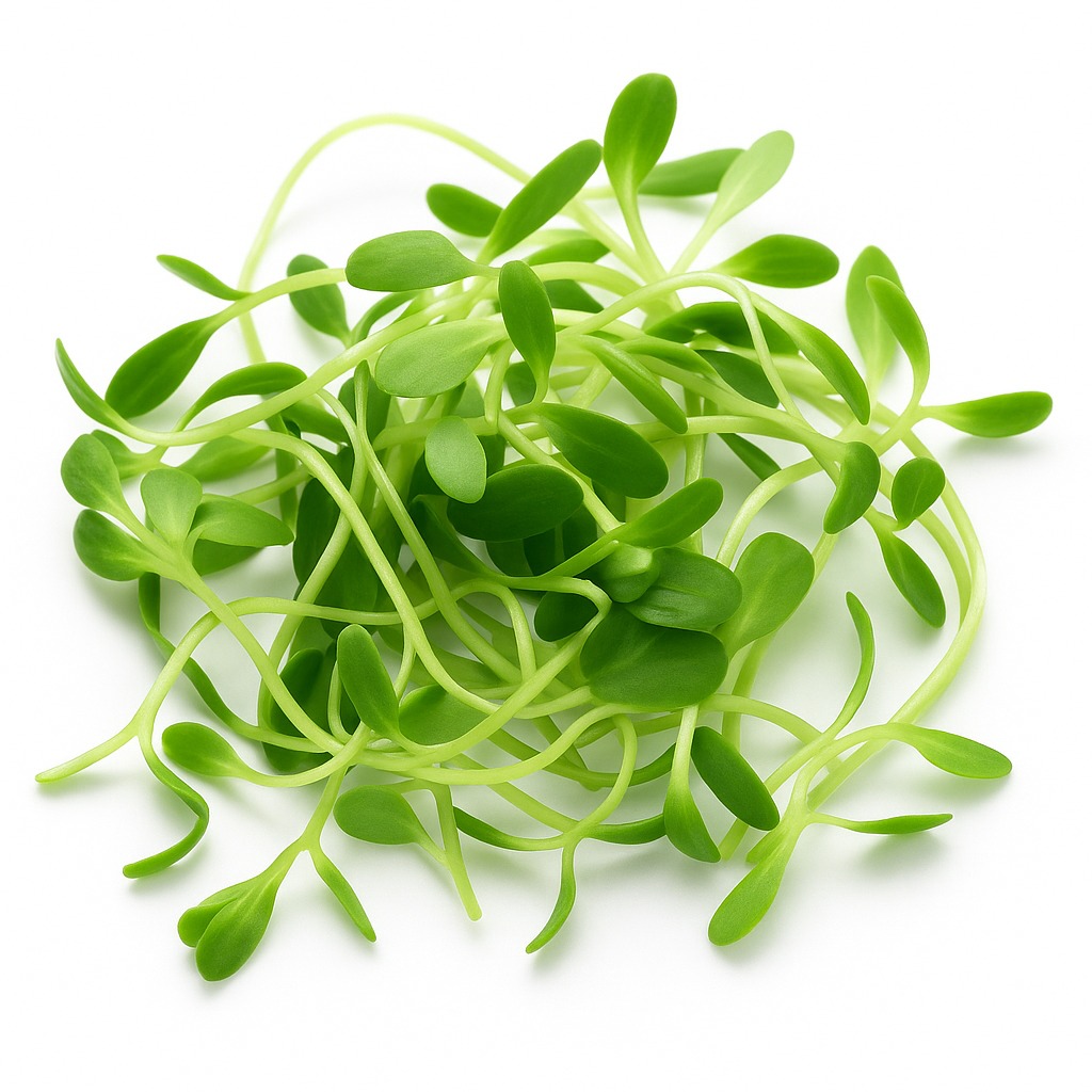 FENUGREEK