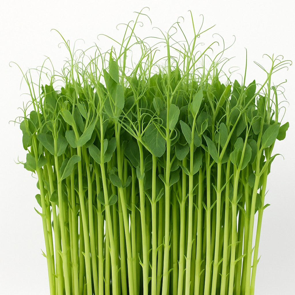 PEA SHOOTS